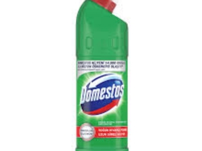 DOMESTOS