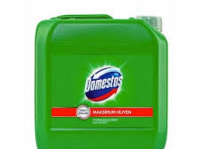 DOMESTOS